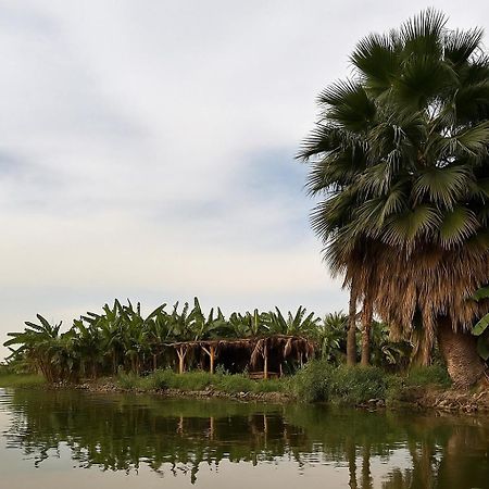 Il Campo Boutique Ecolodge El Hawamdeya Exteriör bild