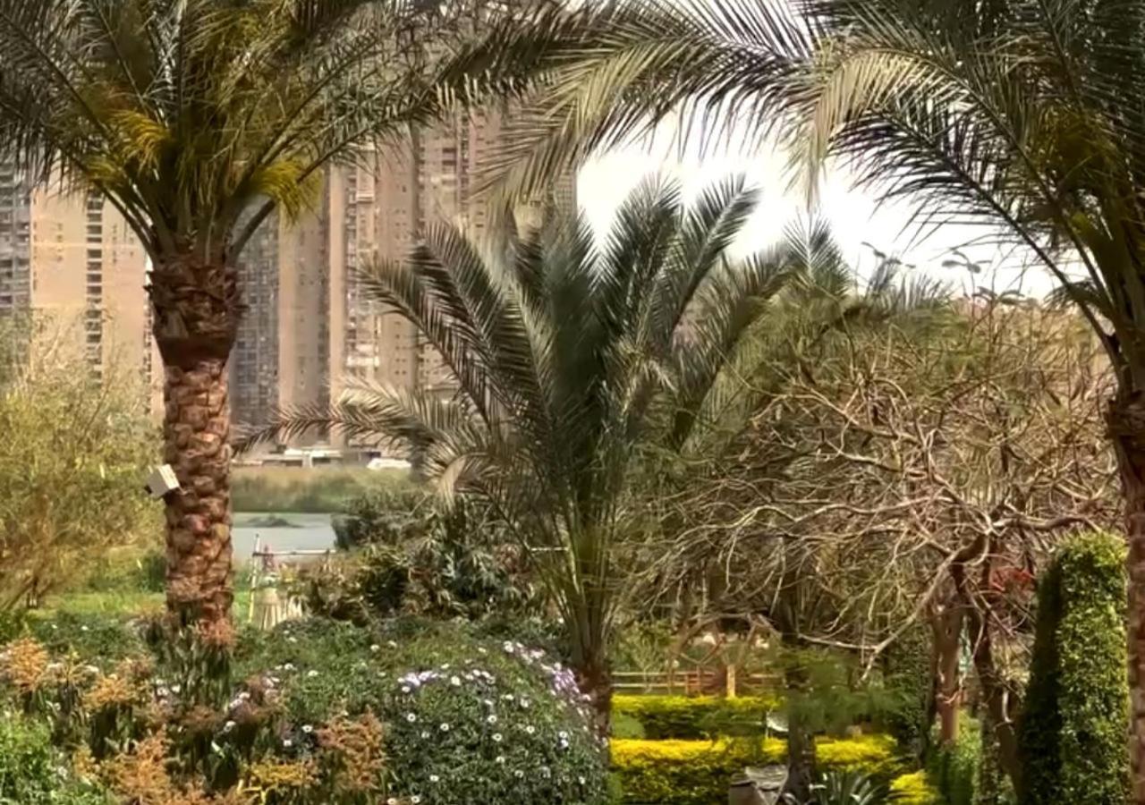Il Campo Boutique Ecolodge El Hawamdeya Exteriör bild